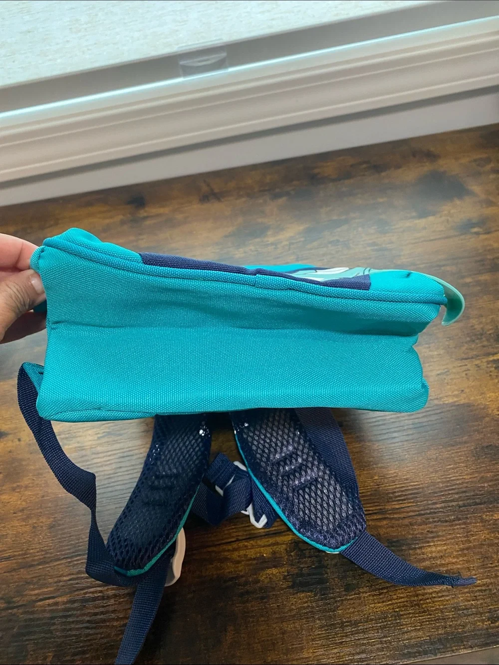 Kids Teal Dragon Backpack Lunch Bag with Dino Pocket New in Package